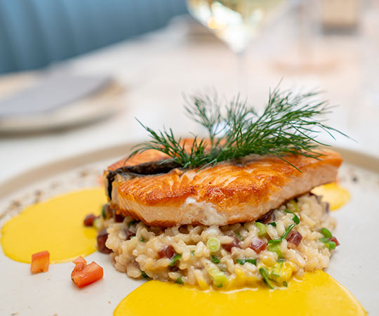 home-fisch-2col